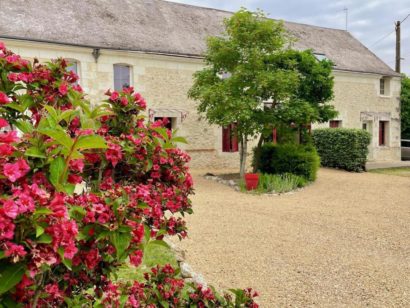 Au Domaine Du Bois Joubert Bed and Breakfast Luzillé Buitenkant foto