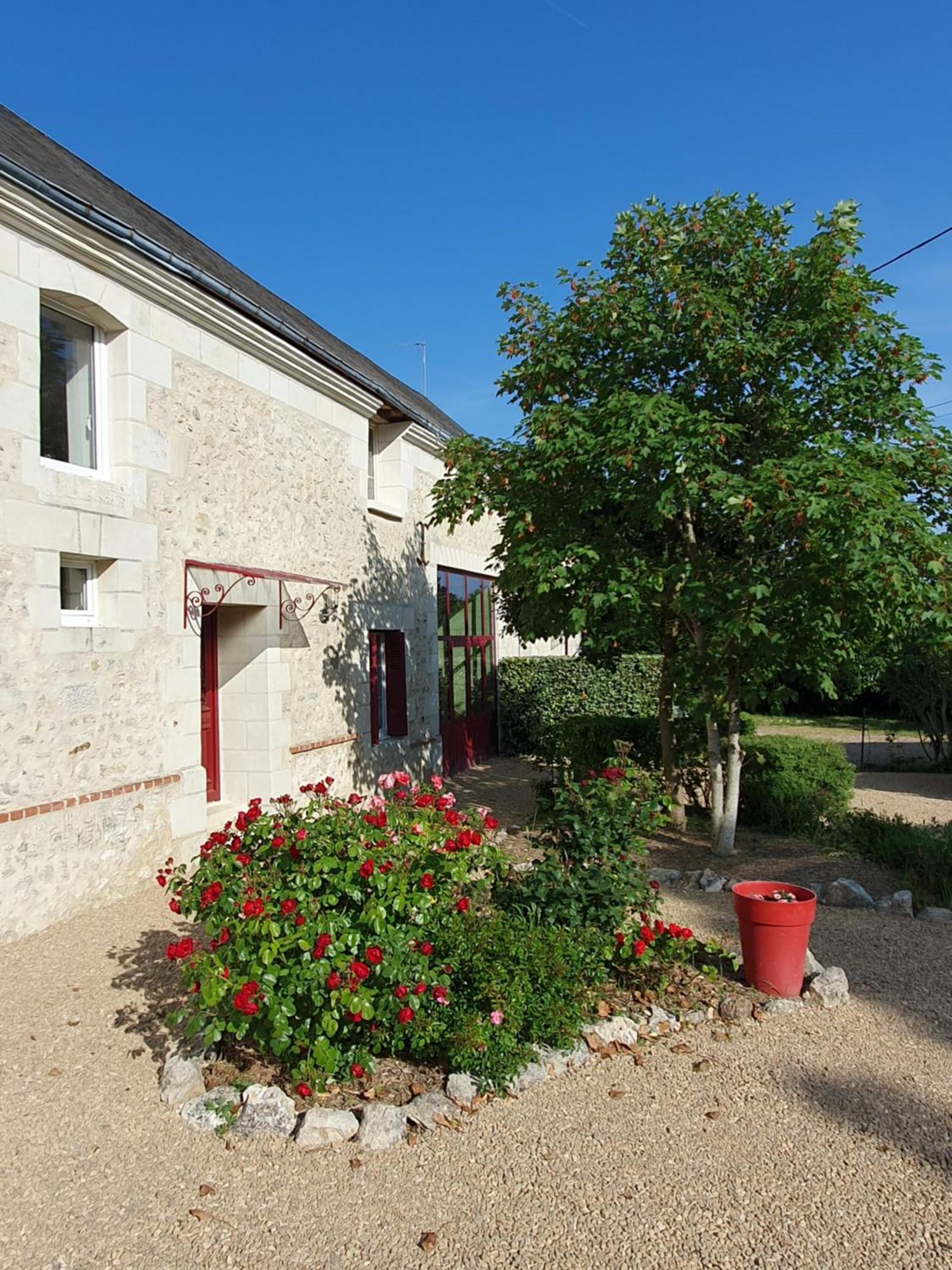 Au Domaine Du Bois Joubert Bed and Breakfast Luzillé Buitenkant foto